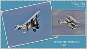 27th Apr 2015 - Sopwith Triplane  1917