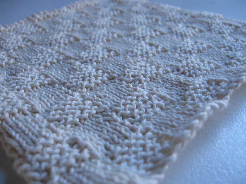 Small Dishcloth by mozette