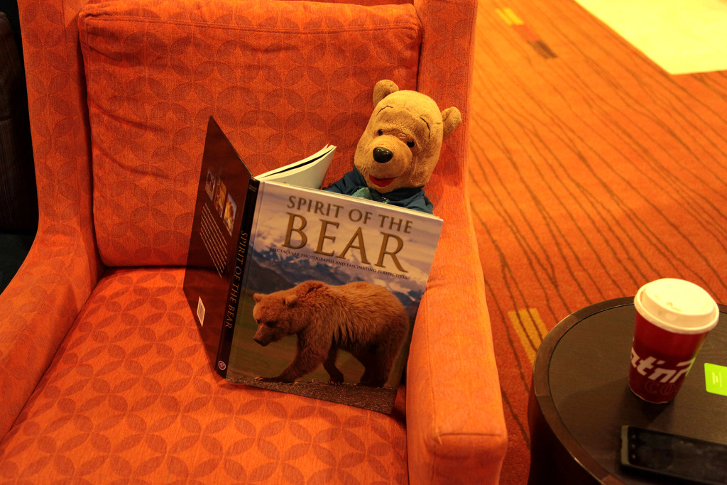 Bear Reading by steelcityfox