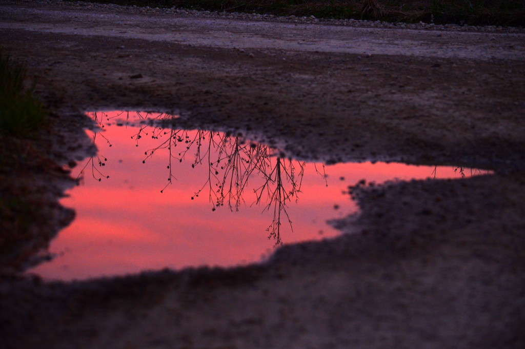 Magic Puddle by kareenking