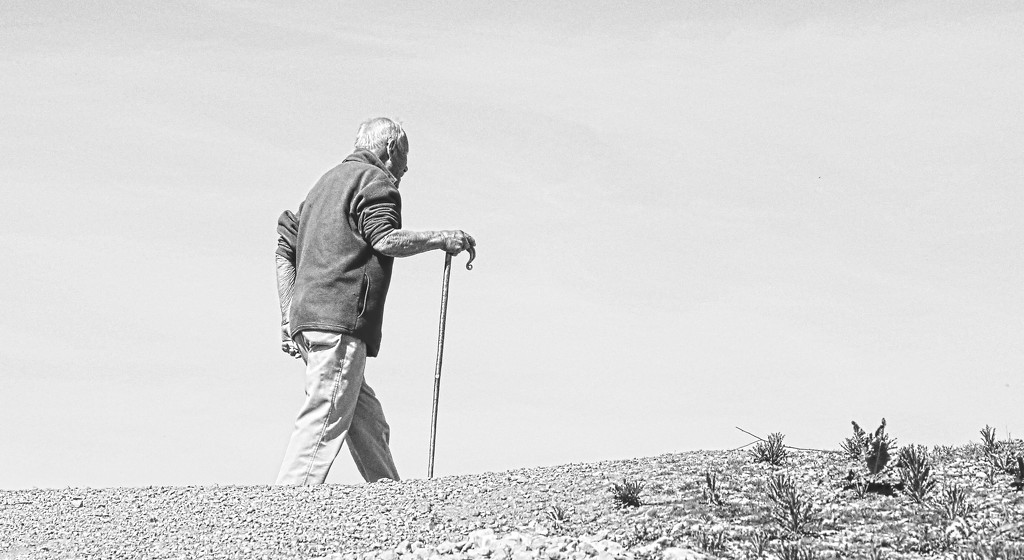 The elderly gentleman with a stick by phil_howcroft
