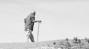 27th Apr 2015 - The elderly gentleman with a stick