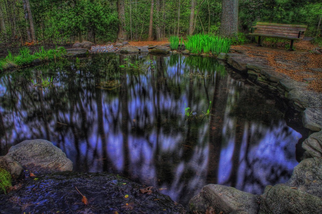 The Pond by sbolden