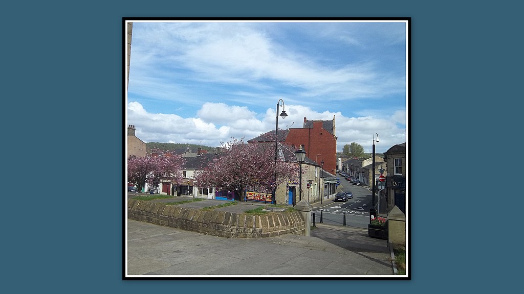 Pink blossom in blue skied Accrington. by grace55