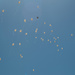 white balloons to accompany the soul by summerfield