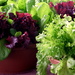 Salad Bowl by linnypinny