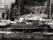 29th Apr 2015 - At Dysart Harbour