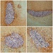 Sand pebbles by joemuli