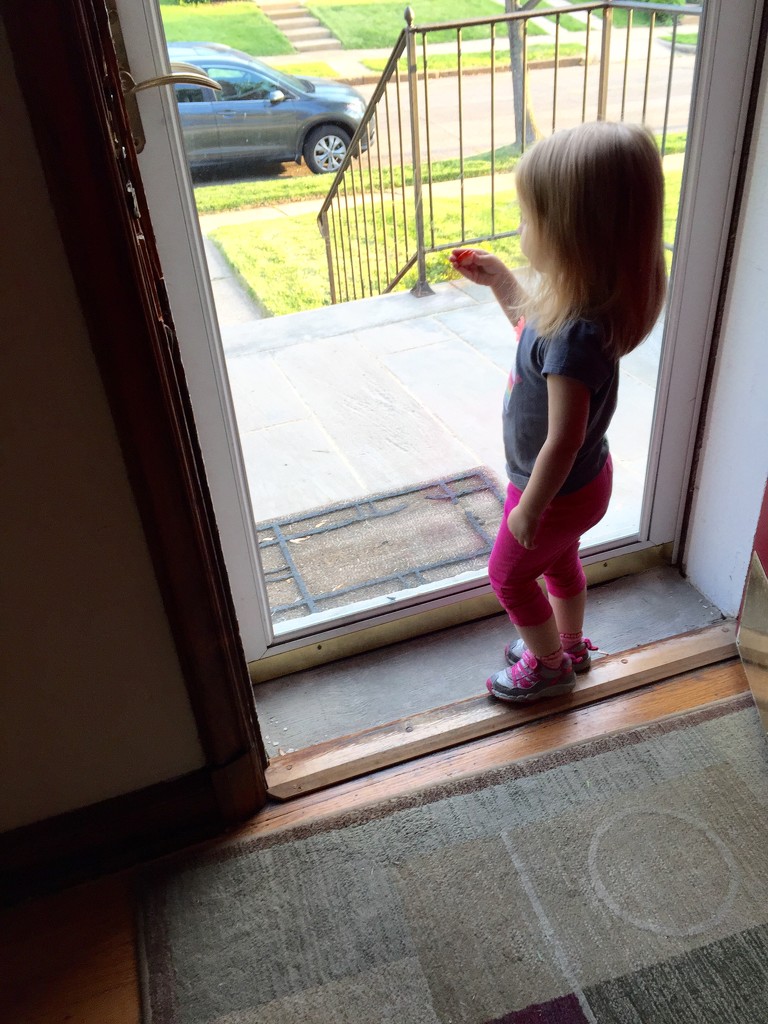 She insisted on eating her strawberries while looking out the window  by mdoelger
