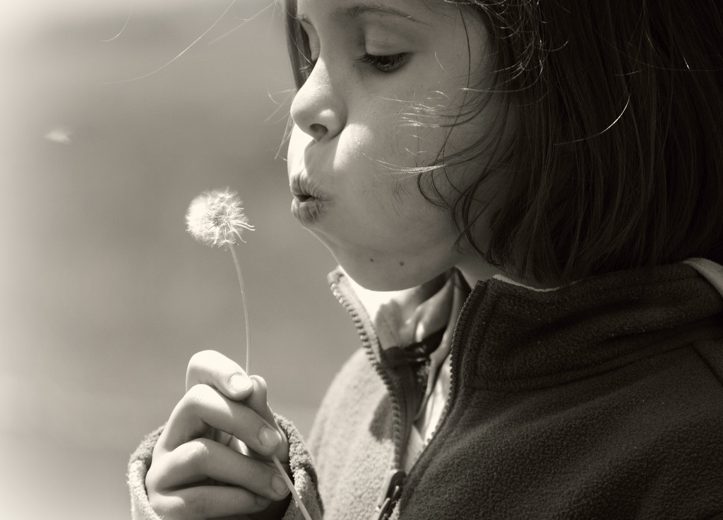 Blowing Wishes Like She Means It by alophoto