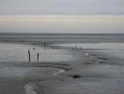 14th Jan 2013 - Estuary view
