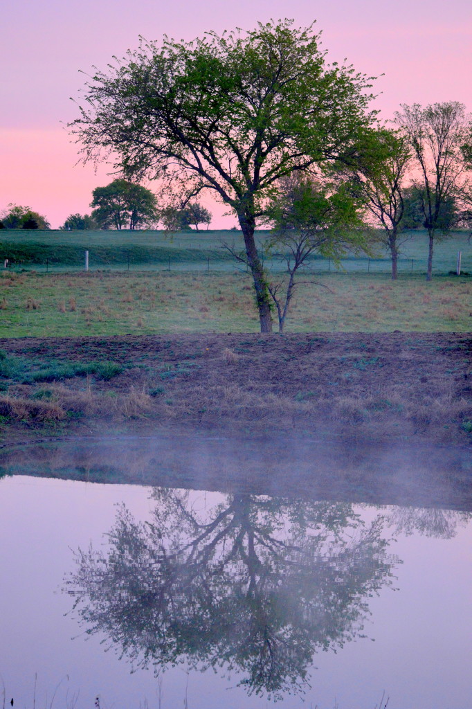 Rise From Your Fog by kareenking