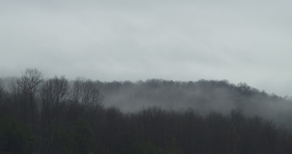 Fog by houser934