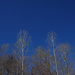 Blue Sky by houser934