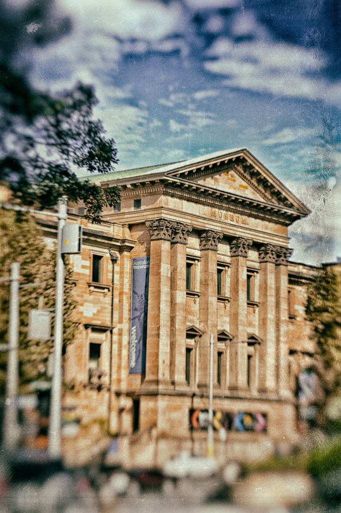 Australian Museum by annied