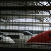 Thalys, Eurostar and ICE at Brussels Midi by rosbush