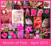1st May 2015 - A Complete Month of Pink 