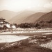 Punakha Dzong by ltodd