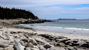 2nd May 2015 - Spring at Crystal Crescent Beach Provincial Park