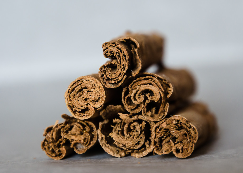 Cinnamon Sticks by salza