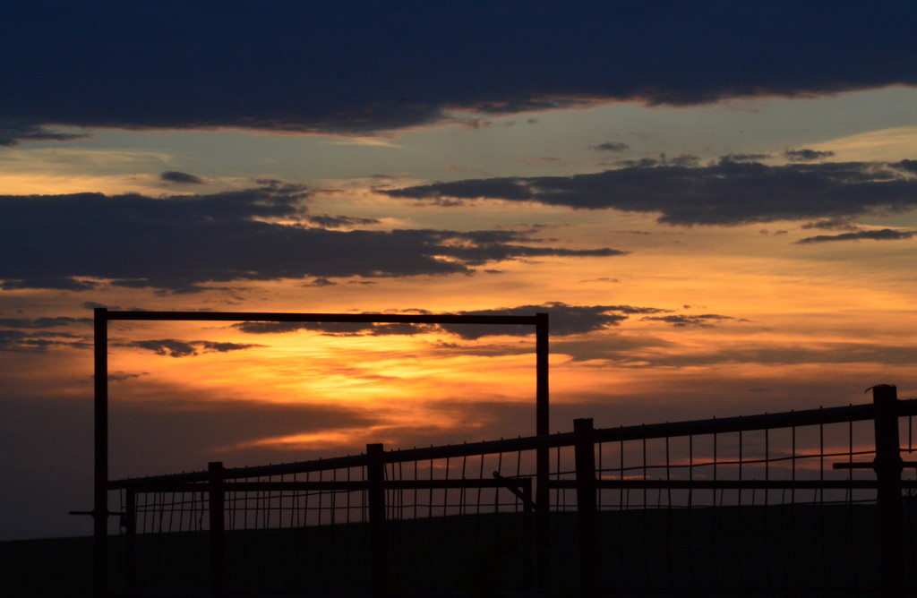 Corralling the Sunset by kareenking