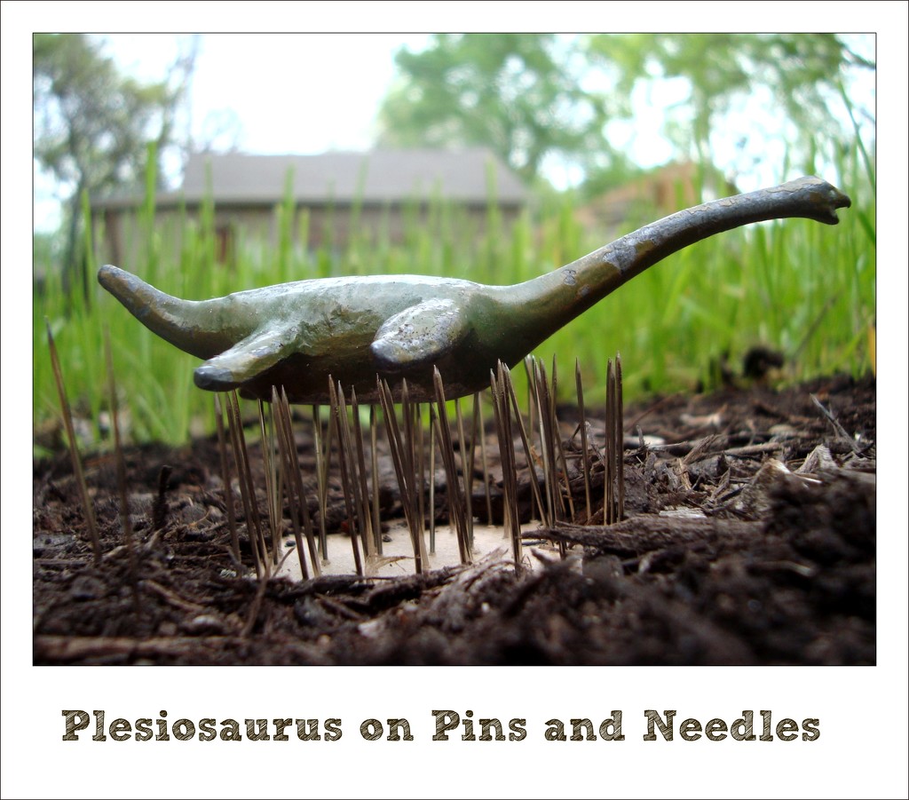 Plesiosaurus On Pins and Needles by mcsiegle