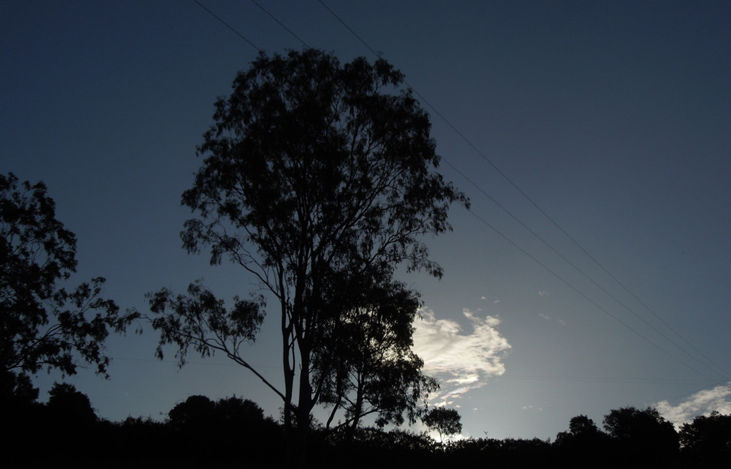 Last light of day by koalagardens
