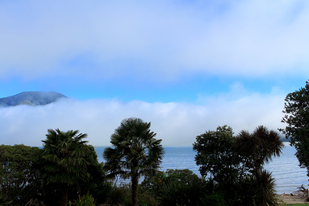 Beyond the fog by kiwinanna
