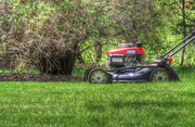 3rd May 2015 - Grass cutting time