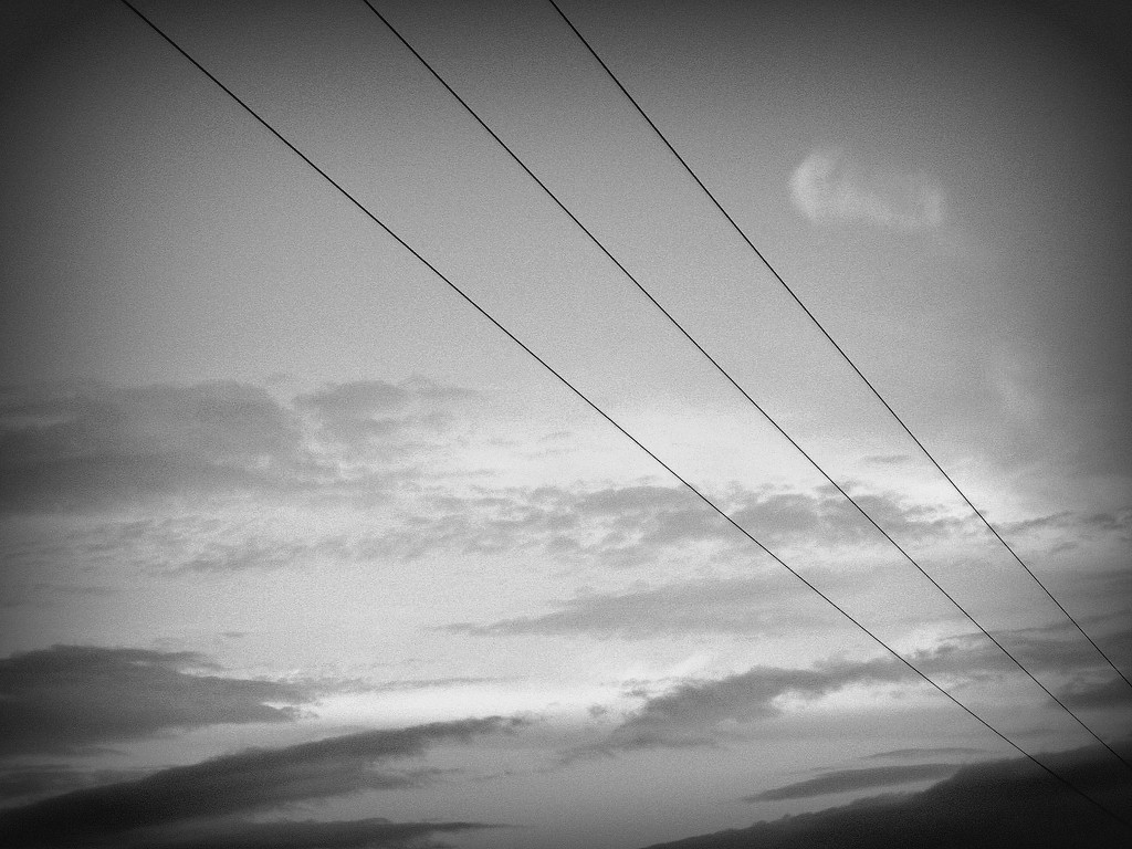 Power lines by steveandkerry