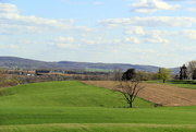 2nd May 2015 - Simple Joys Of Spring