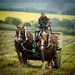 Horse and cart by barrowlane