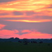 Cattle and a Colorful Kansas Sunset by kareenking