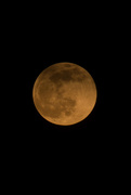 4th May 2015 - Golden Moonrise
