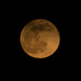 Golden Moonrise by lindasees