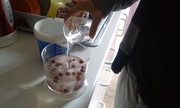 23rd Apr 2015 - Making our own hazelnut milk
