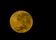 4th May 2015 - Orange Moon