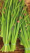 3rd May 2015 - Chives