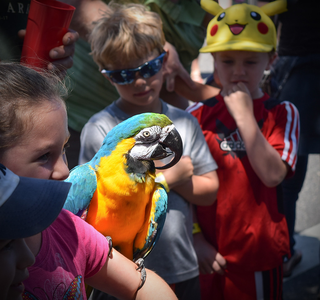 Kids and the Parrot by rickster549