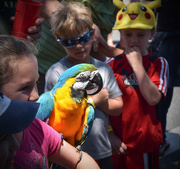 4th May 2015 - Kids and the Parrot
