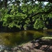 The bench where I enjoy thinking and meditating at Charles Towne Landing State Historic Site, Charleston, SC by congaree