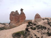 23rd Apr 2015 - This Camel Rocks