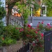 Historic district, Charleston, SC by congaree