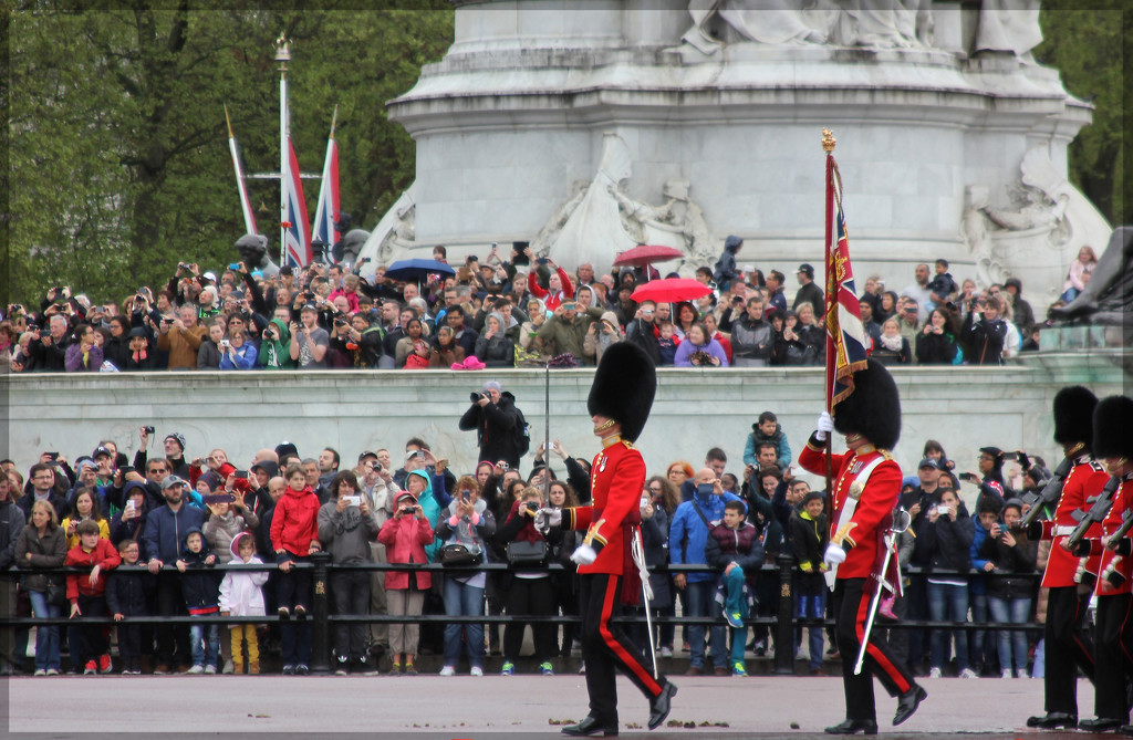 Changing of the Guard @ Buckingham Palace by jamibann