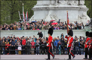2nd May 2015 - Changing of the Guard @ Buckingham Palace