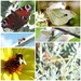 Insects by kiwinanna