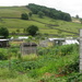 Beautiful allotments by steveandkerry