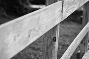 6th May 2015 - Fence