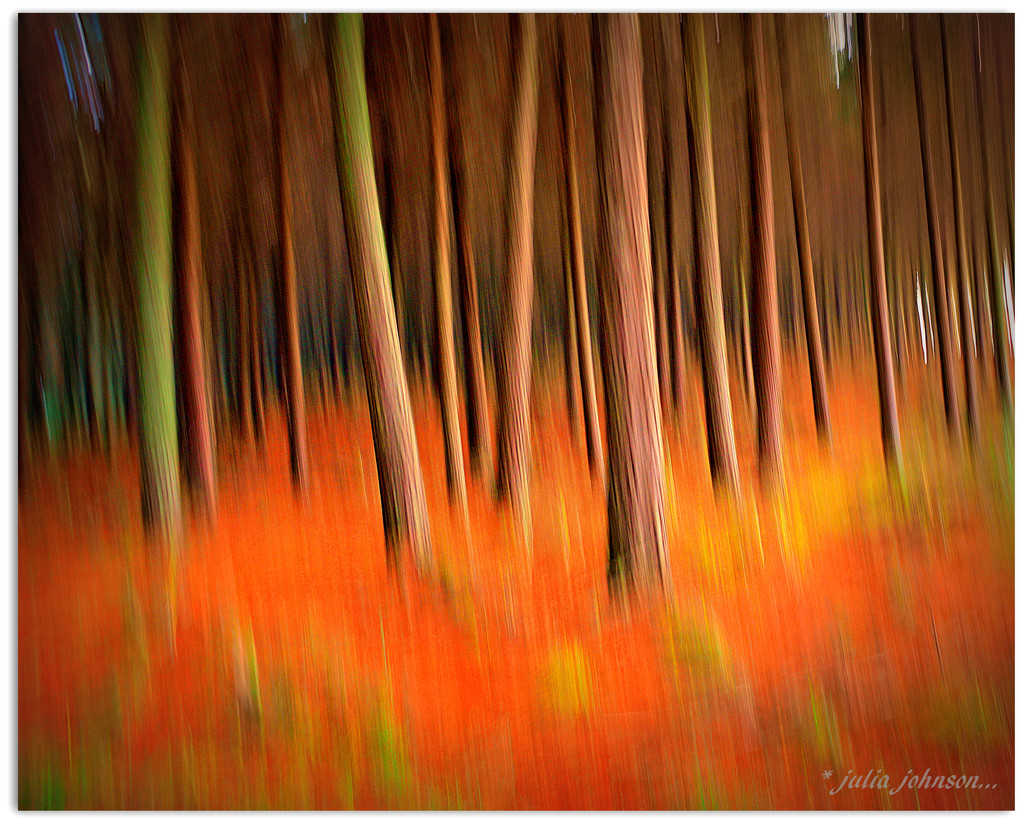 ICM   Forest on fire... by julzmaioro