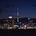 Auckland  by ziggy77
